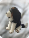 King Charles Spaniel