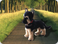 Deutscher Schäferhund 48cm gross